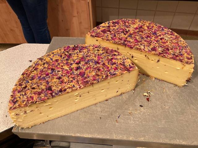 Wildblumenkäse