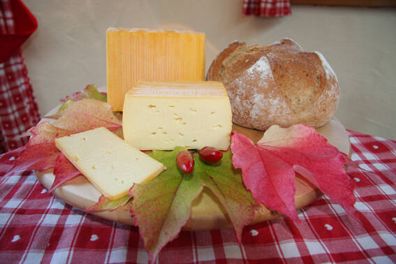 Milder Backsteiner, mild-würzig